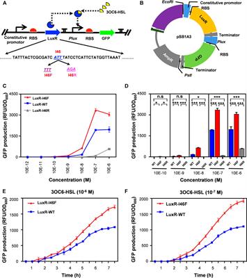 Computer-Aided Rational Engineering of Signal Sensitivity of Quorum Sensing Protein LuxR in a Whole-Cell Biosensor